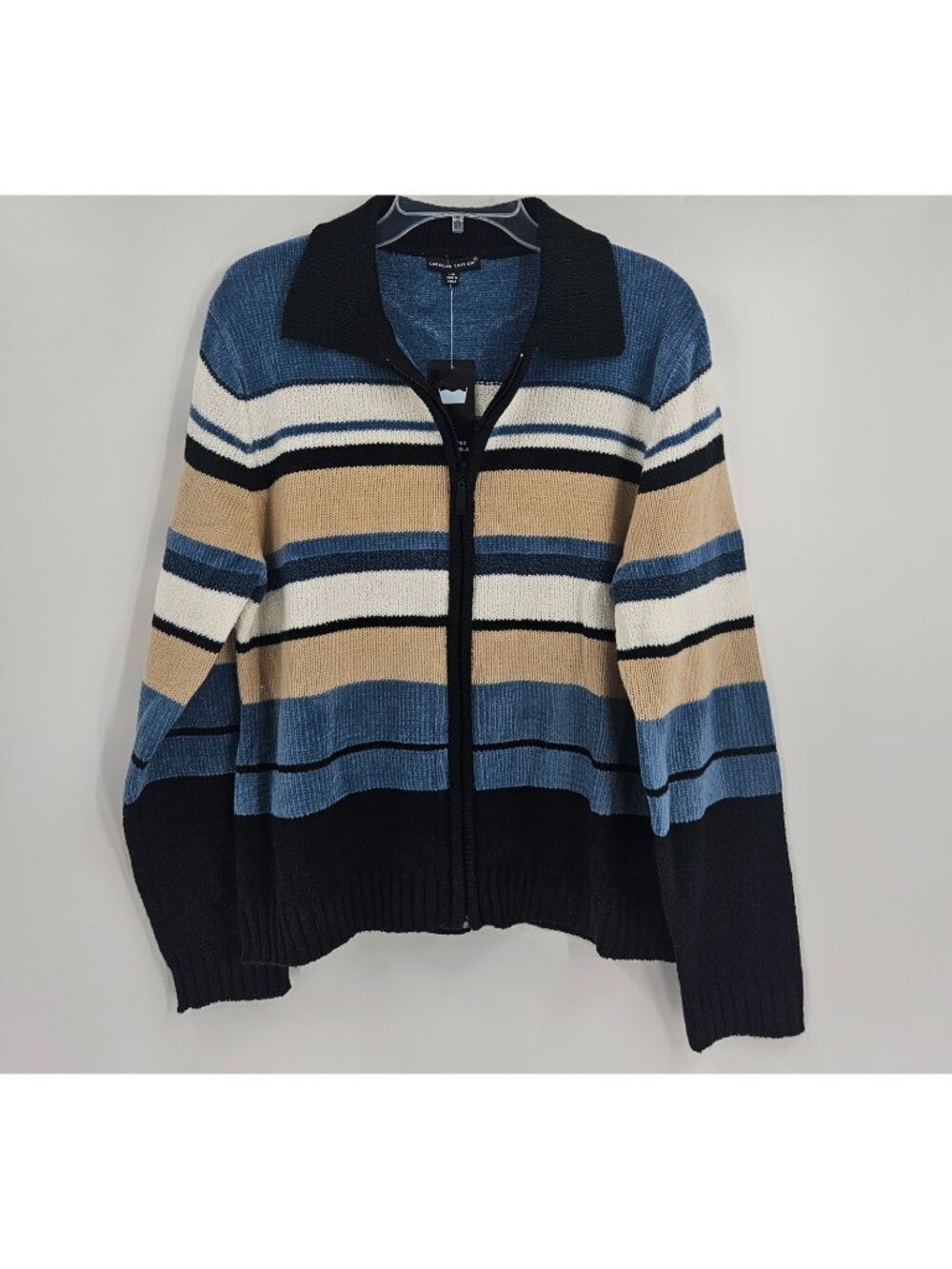 Carolyn Taylor Women's Large Striped Zip Front Knit Cardigan Sweater Blue Tan